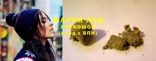 крисы Алзамай