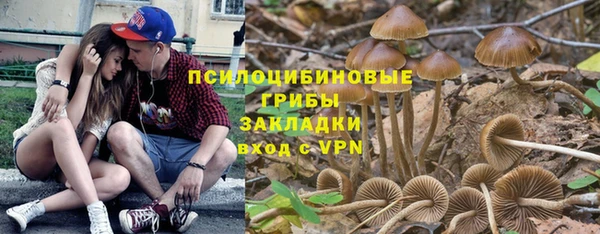 кокс Алексин