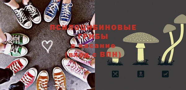 крисы Алзамай