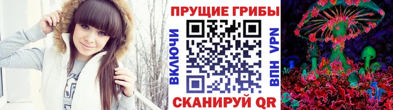 Псилоцибиновые грибы Psilocybine cubensis  МЕГА ссылка  Павлово 